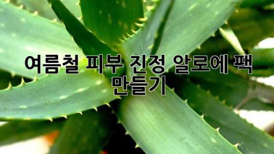 여름철 피부 진정! 알로에 팩 만들기🌿