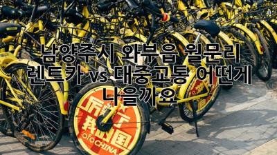 남양주시 와부읍 월문리, 렌트카 vs 대중교통: 어떤게 나을까요?